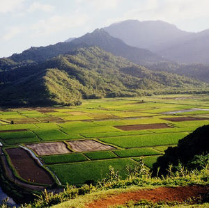 Meet your Posher, Jimmy